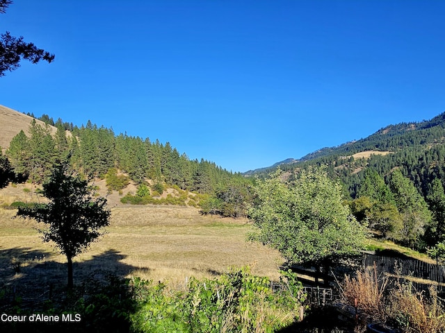 34AND134 Bear Paw Ln, Lenore, ID 83541 - photo 45
