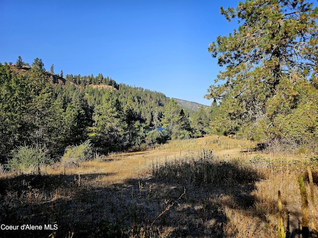 34AND134 Bear Paw Ln, Lenore, ID 83541 - photo 46