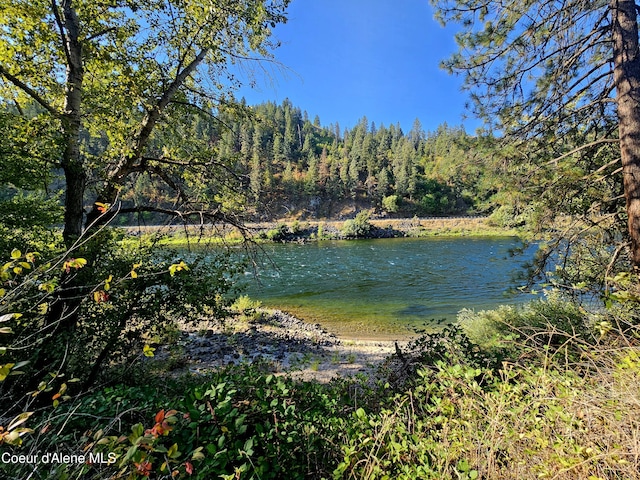 34AND134 Bear Paw Ln, Lenore, ID 83541 - photo 48