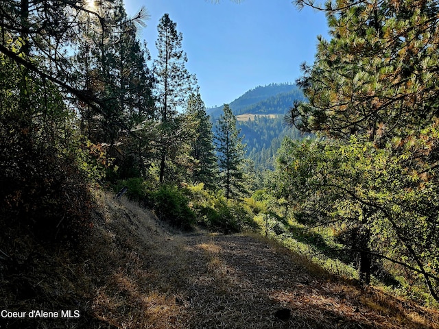 34AND134 Bear Paw Ln, Lenore, ID 83541 - photo 51