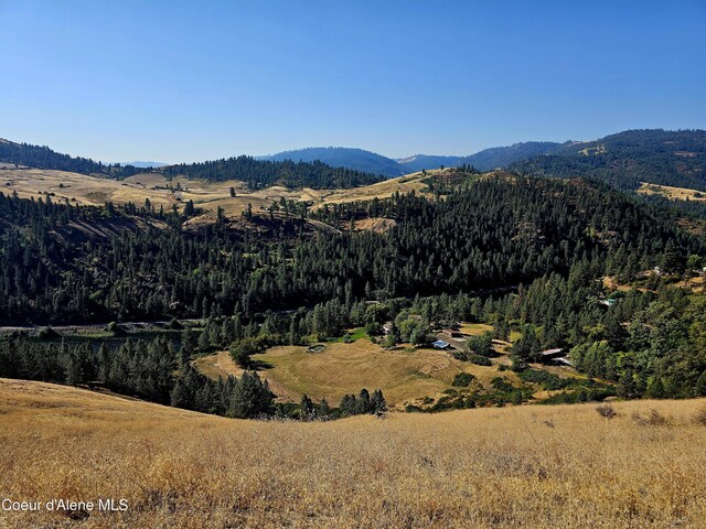 34AND134 Bear Paw Ln, Lenore, ID 83541 - photo 52
