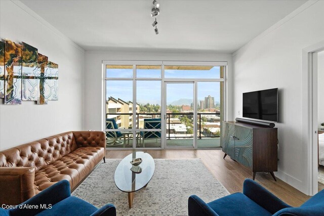 living room with light wood-type flooring and ornamental molding