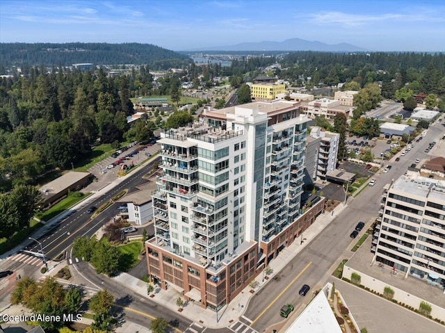 bird's eye view featuring a mountain view