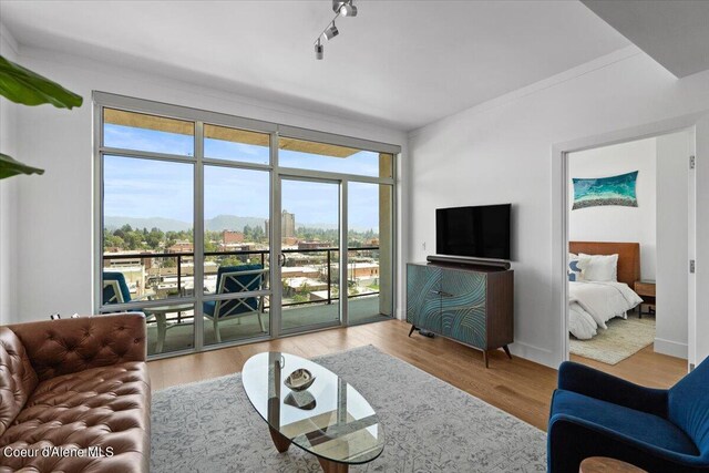 living room with light hardwood / wood-style floors