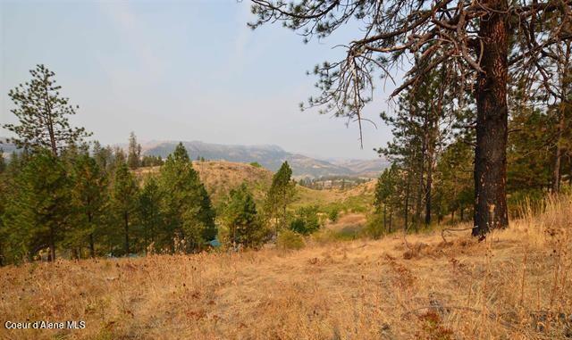 169 Westfall Ln, Kamiah, ID 83536 - view of mountain feature