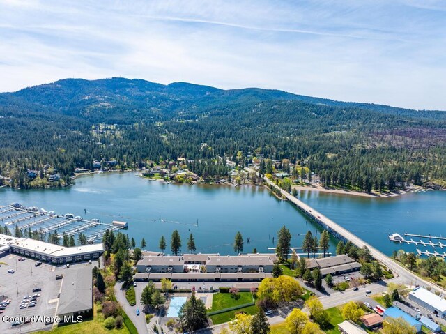 birds eye view of property with a water and mountain view