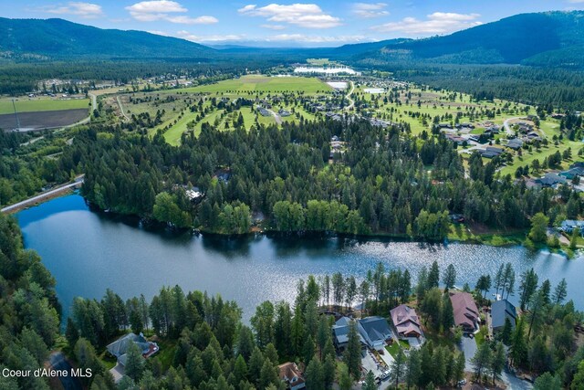 24 Bellflower Ct, Blanchard, ID 83804 - photo 11