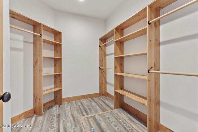 walk in closet with hardwood / wood-style flooring