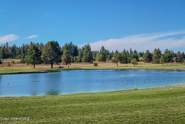 24 Bellflower Ct, Blanchard, ID 83804 - photo 30