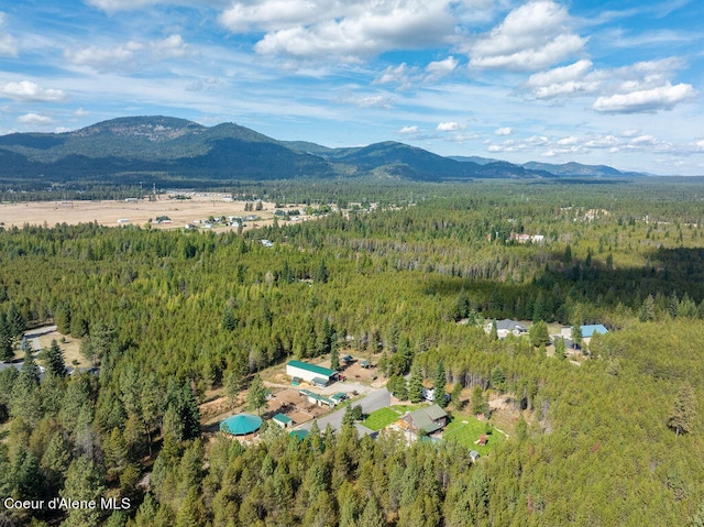 aerial view with a mountain view