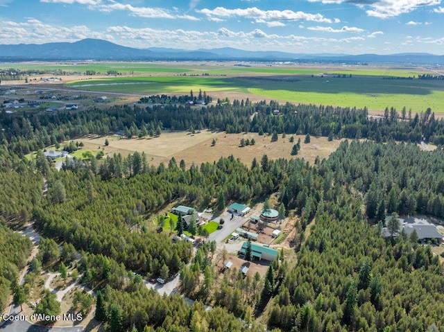 drone / aerial view featuring a mountain view and a rural view