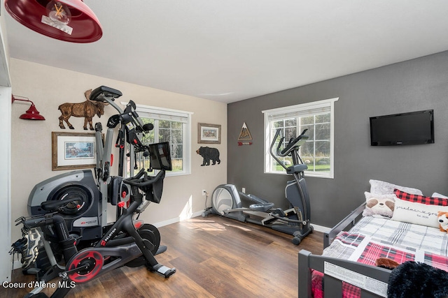 exercise room with a wealth of natural light and hardwood / wood-style floors