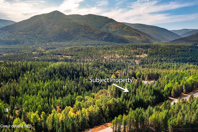 Listing photo 3 for NHN Mt Highway 200, Noxon MT 59853