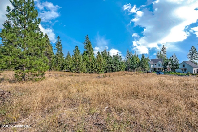 view of local wilderness