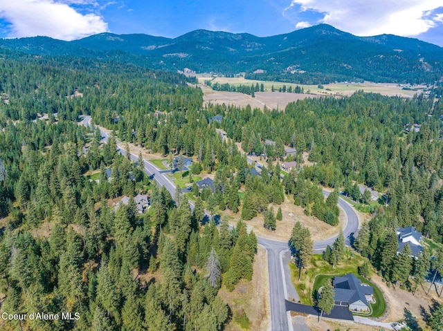 drone / aerial view featuring a mountain view