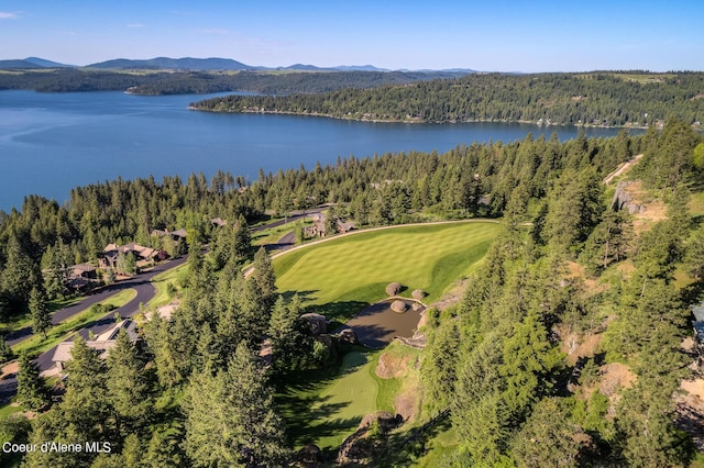 17023 S Citrine Dr, Coeur Dalene, ID 83814 - birds eye view of property with a water and mountain view and a view of trees
