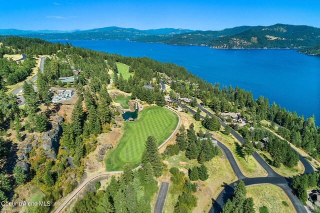 17023 S Citrine Dr, Coeur Dalene, ID 83814 - drone / aerial view with a water and mountain view