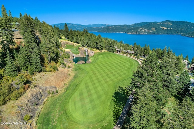 17023 S Citrine Dr, Coeur Dalene, ID 83814 - drone / aerial view with a water and mountain view
