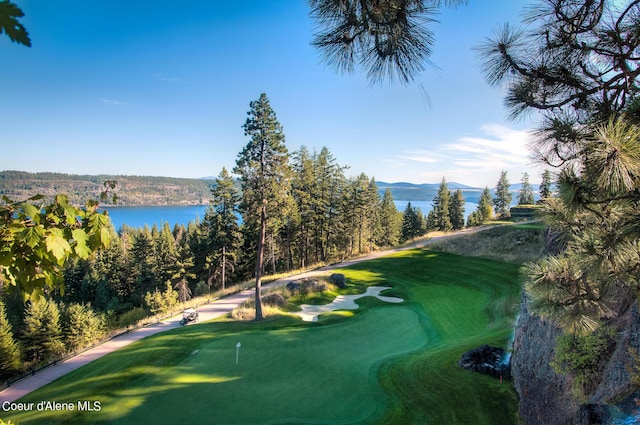 17023 S Citrine Dr, Coeur Dalene, ID 83814 - view of home's community featuring a water and mountain view, a view of trees, and golf course view