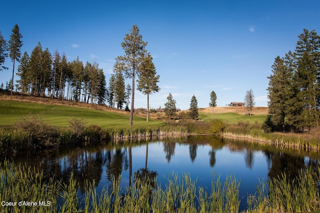 17023 S Citrine Dr, Coeur Dalene, ID 83814 - view of water feature