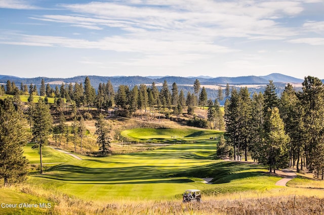 17023 S Citrine Dr, Coeur Dalene, ID 83814 - surrounding community with view of golf course and a mountain view