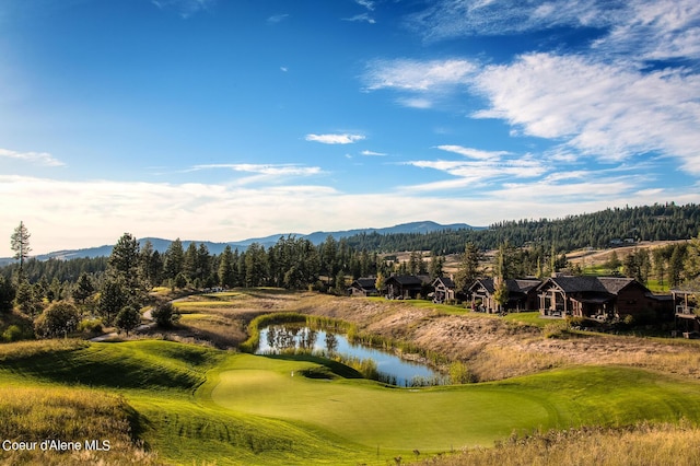 17023 S Citrine Dr, Coeur Dalene, ID 83814 - view of property's community with a water and mountain view and a forest view