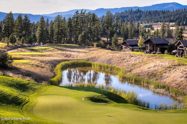 17023 S Citrine Dr, Coeur Dalene, ID 83814 - property view of mountains with a water view, a view of trees, and view of golf course