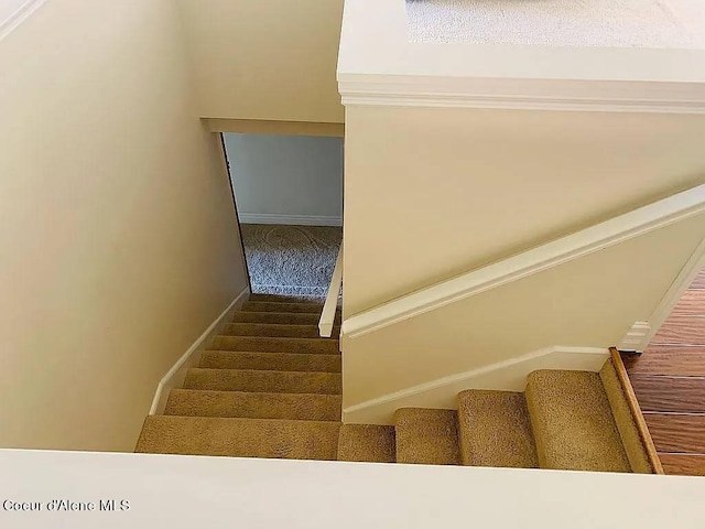 staircase with ornamental molding and carpet flooring