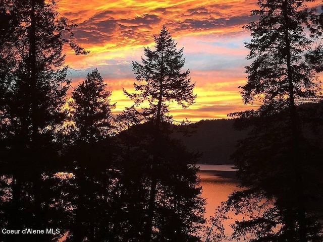 nature at dusk with a water view