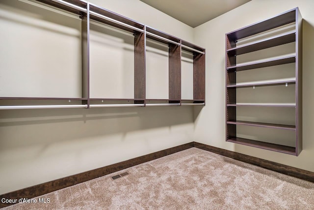 spacious closet featuring carpet floors