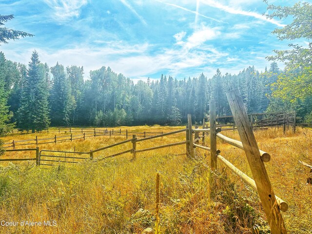 view of yard featuring a rural view