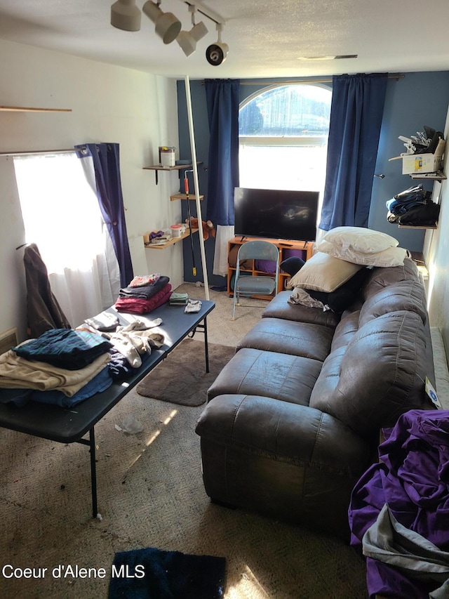 carpeted living room featuring track lighting