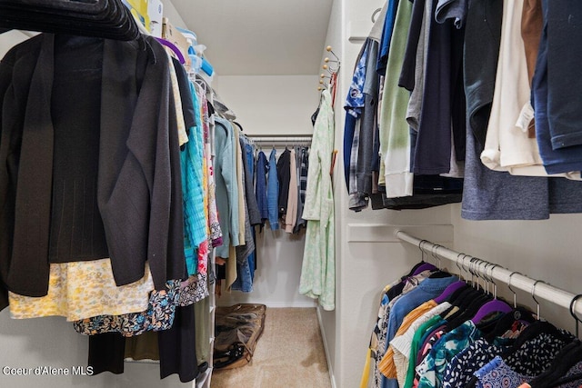 walk in closet featuring carpet