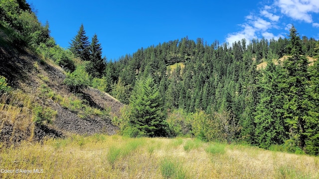 view of landscape