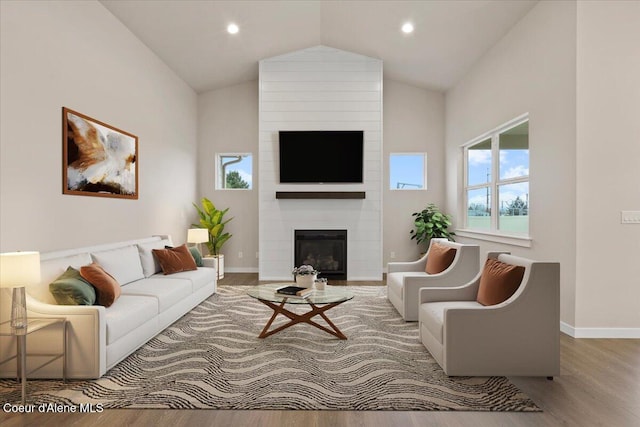 living room featuring a fireplace, wood-type flooring, and high vaulted ceiling