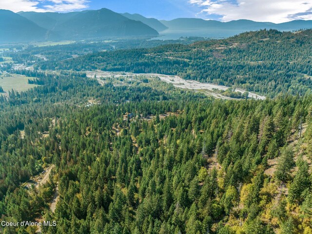 NKA Silver Creek Rd, Clark Fork, ID 83811