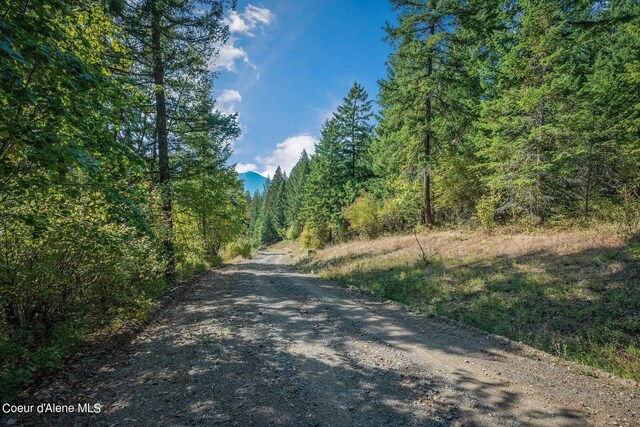 NKA Silver Creek Rd, Clark Fork, ID 83811