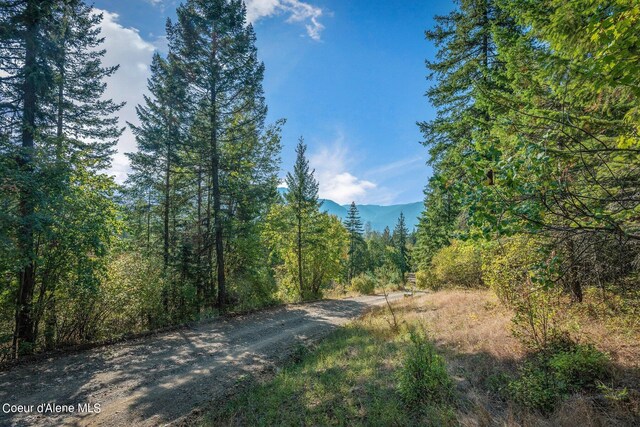 NKA Silver Creek Rd, Clark Fork, ID 83811