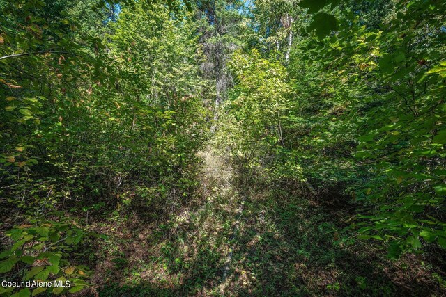 NKA Silver Creek Rd, Clark Fork, ID 83811