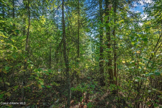 NKA Silver Creek Rd, Clark Fork, ID 83811