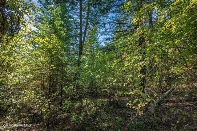 NKA Silver Creek Rd, Clark Fork, ID 83811