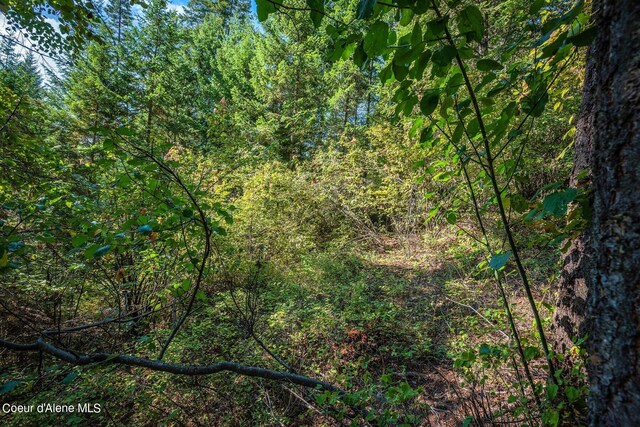 NKA Silver Creek Rd, Clark Fork, ID 83811