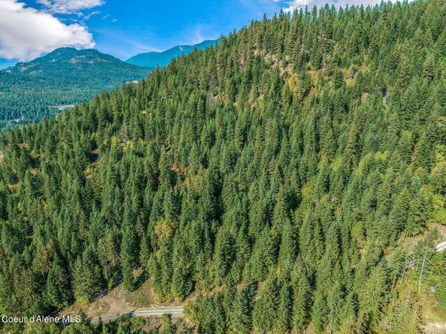 NKA Silver Creek Rd, Clark Fork, ID 83811