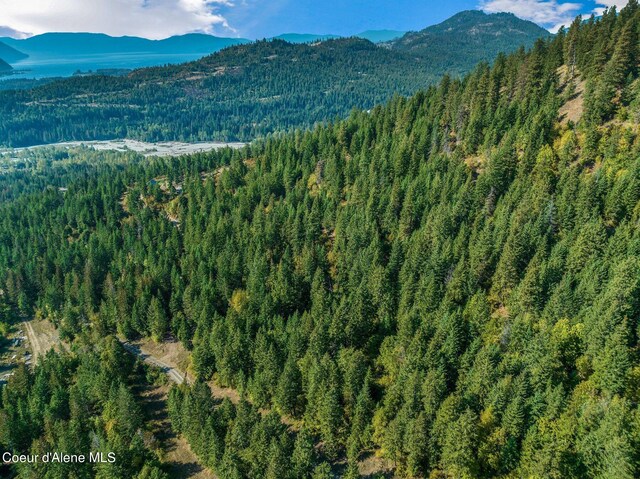 NKA Silver Creek Rd, Clark Fork, ID 83811