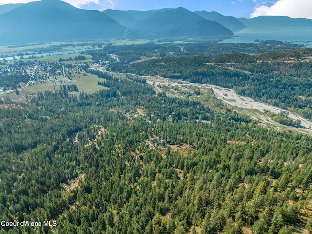NKA Silver Creek Rd, Clark Fork, ID 83811