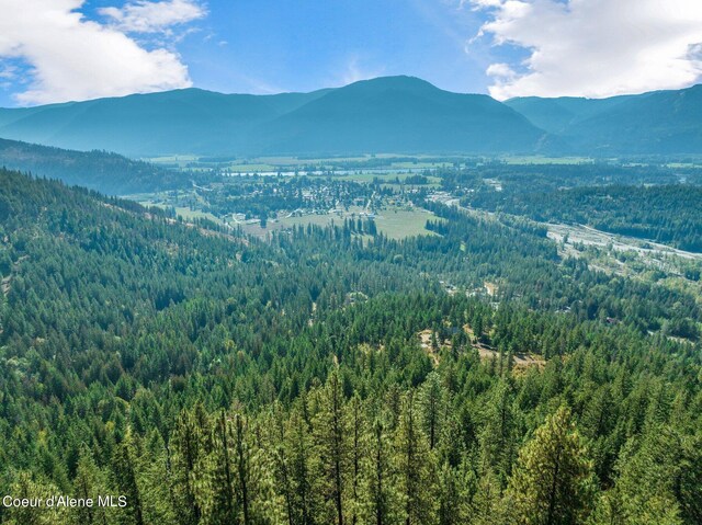 NKA Silver Creek Rd, Clark Fork, ID 83811