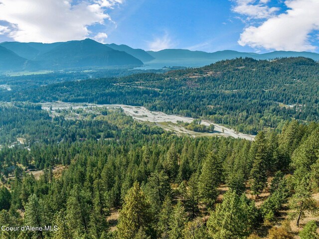 NKA Silver Creek Rd, Clark Fork, ID 83811