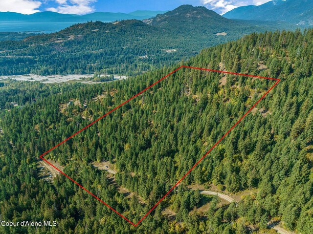 NKA Silver Creek Rd, Clark Fork, ID 83811