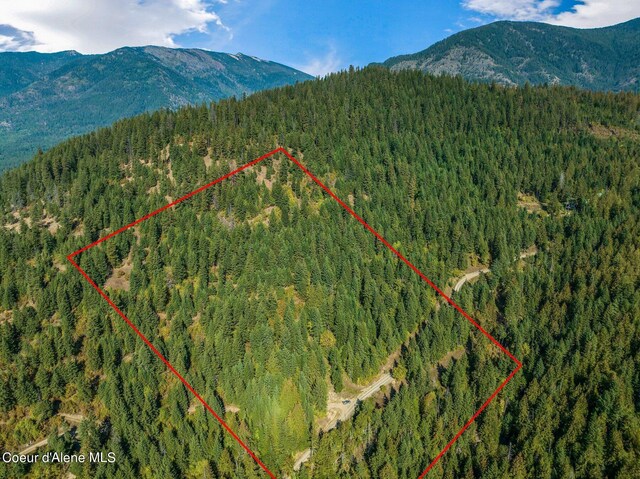 NKA Silver Creek Rd, Clark Fork, ID 83811
