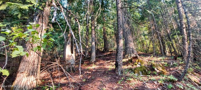 NKA Silver Creek Rd, Clark Fork, ID 83811